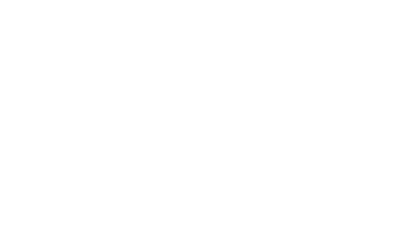 Logo Veigo